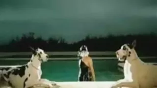 فيفا أثينا مارس الجنس في كس. افلام سكسيه عراقيه حديثه