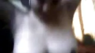 ماركوس الملاعين افلام سكسيه محجبات ث