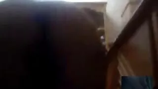بترا برافا تمتص زب كبير بعد شهر افلام امريكيه سكسيه من الامتناع عن ممارسة الجنس.