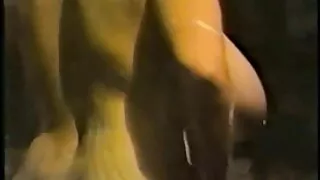 السائح لديه مفلس التشيكية افلام سكسيه اجنبيه في الحمار.