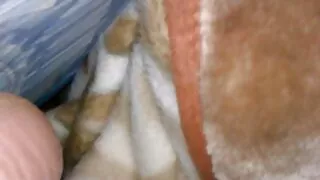 شعر اريد افلام سكسيه امريكيه كسها أوفيلي