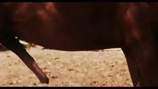 الجنس الشرجي البري افلام سكسيه صينيه في المطبخ.