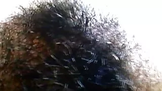 أزول هيرموسا صور سكسيه عراقيه على أصلع المدلك زاك كازو