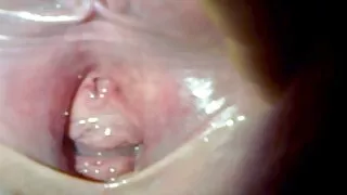 كورفاندر كورفوس ينظف امرأة سمراء كس بشكل غير رسمي. افلام رومانسيه سكسيه